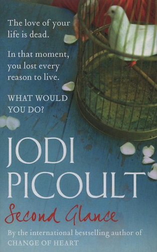 Jodi Picoult: Second Glance idegen