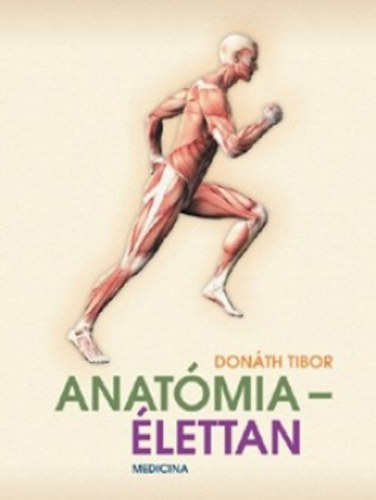 Funkcionális anatómia III. | Digitális Tankönyvtár