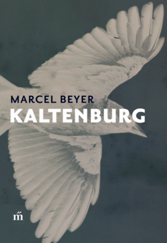 Marcel Beyer: Kaltenburg könyv