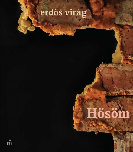 Erdős Virág: Hősöm e-Könyv