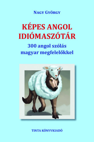 Képes angol idiómaszótár akciós termékkép 1