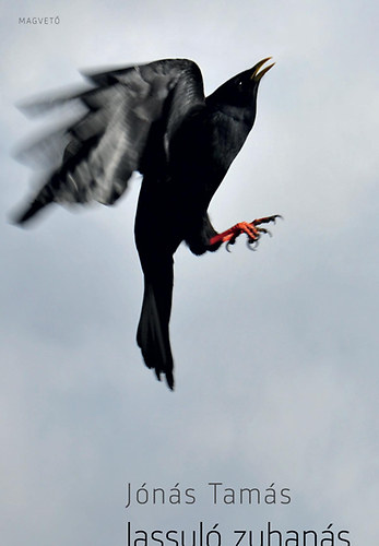 Jónás Tamás: Lassuló zuhanás - Dedikált antikvár