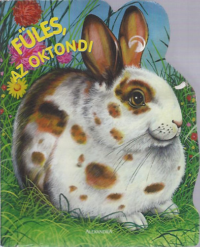 Jan Kazimierz Siwek: Füles, az oktondi antikvár