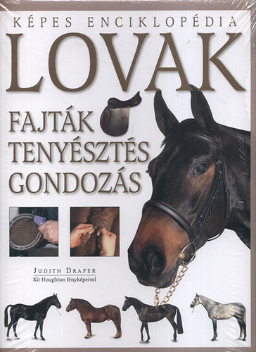 Judith Draper: Lovak - Fajták, tenyésztés, gondozás antikvár