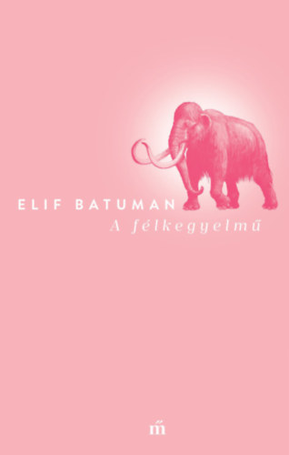 Elif Batuman: A félkegyelmű