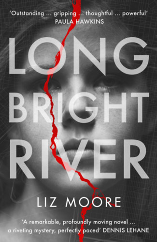 Moore, Liz: Long Bright River idegen