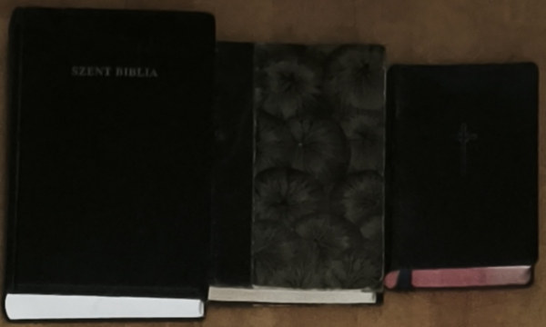 Prohászka Ottokár: 2db Prohászka Ottokár mű + ajándék Biblia - Elmélkedések az evangéliumról, Élet igéi-Beszédek, szentek ünnepei és időszerű kérdések antikvár