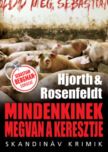 Hans Rosenfeldt - Michael Hjorth: Mindenkinek megvan a keresztje e-Könyv