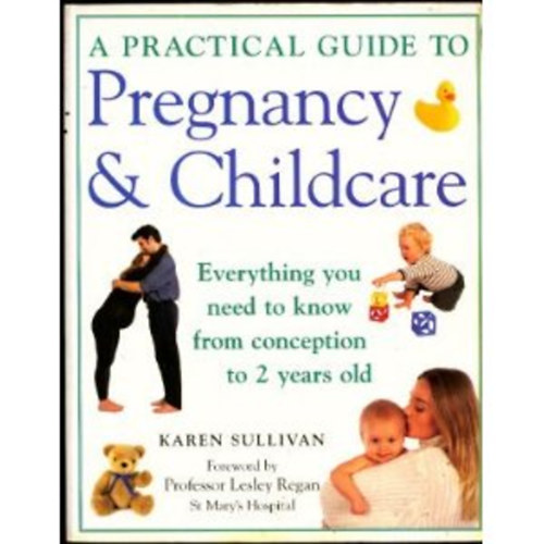 Karen Sullivan: Pregnancy and Childcare antikvár