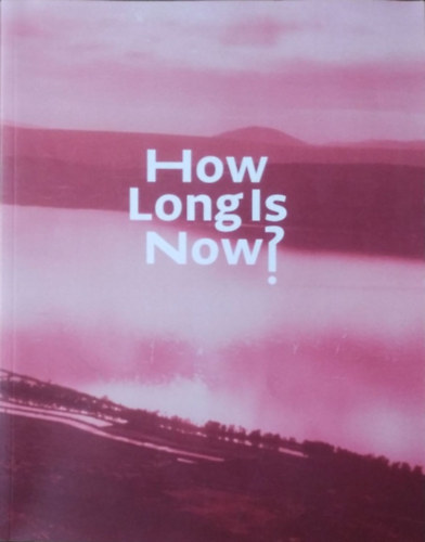 How Long Is Now? - New in Contemporary Art antikvár