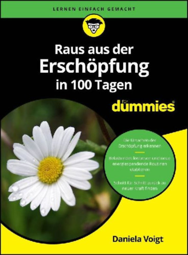 Voigt, Daniela: Raus aus der Erschöpfung in 100 Tagen für Dummies idegen