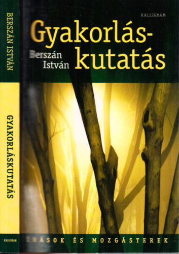 Berszán István: Gyakorláskutatás (Írások és mozgásterek) antikvár