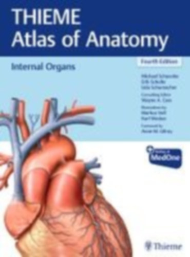 Schuenke, Michael - Schulte, Erik - Cass, Wayne - Schumacher, Udo: Internal Organs (THIEME Atlas of Anatomy) idegen