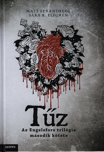 Mats Strandberg, Sara Bergmark Elfgren: Tűz könyv