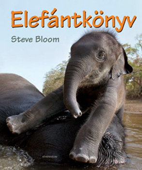 Steve Bloom: Elefántkönyv antikvár