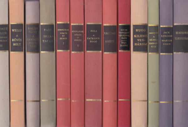 20db.: Világirodalom remekei:Heminway:Elbeszélések + Martin Eden + A bázeli harangok+ Victor Hugo:Kilencvenhárom+Egy asszony élete + A szépfiú +A patkányfogó+ Vörös és fehérI-II.+ Spartacus+A lammermoori nász+A bűvös bolt+Villette+Henry Hastings kapitány+ antikvár