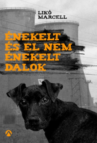 Likó Marcell: Énekelt és el nem énekelt dalok könyv