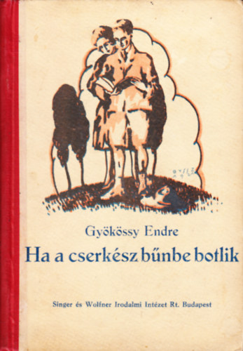 Dr. Gyökössy Endre: Ha a cserkész bűnbe botlik könyv