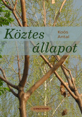 Koós Antal: Köztes állapot e-Könyv