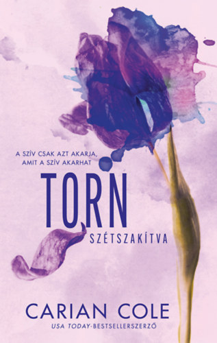 Carian Cole: Torn - Szétszakítva e-Könyv