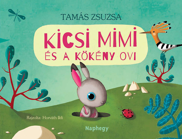 Tamás Zsuzsa: Kicsi Mimi és a Kökény ovi könyv