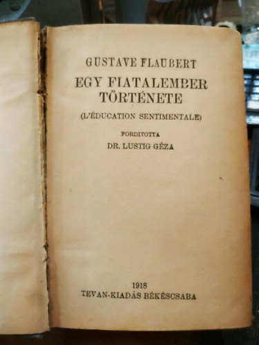 Gustave Flaubert: Egy fiatalember története antikvár