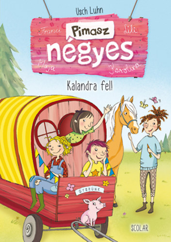 Usch Luhn: Kalandra fel! könyv