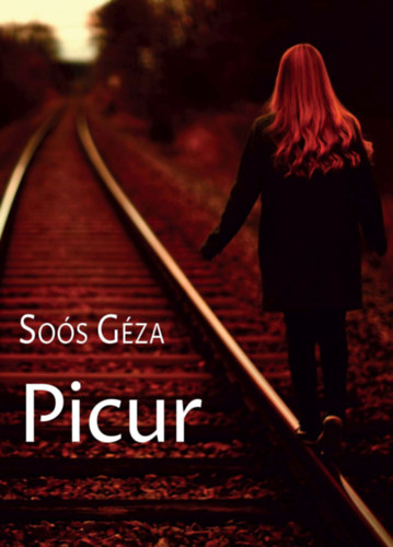 Soós Géza: Picur antikvár