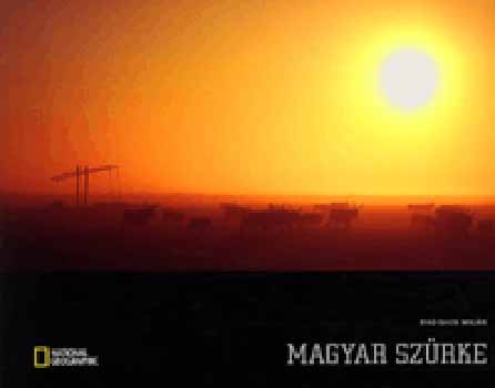 Radisics Milán, Horváth Árpád: Magyar szürke könyv