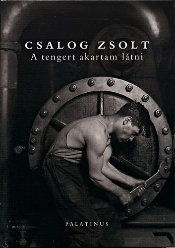 Csalog Zsolt: A tengert akartam látni antikvár