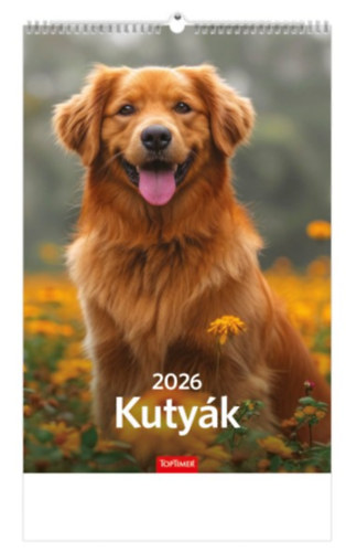 Kutyák falinaptár 22x33 cm - 2026 naptár