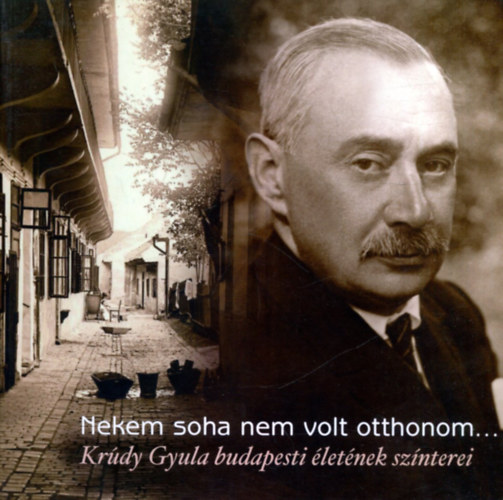 Saly Noémi: Nekem soha nem volt otthonom... (Krúdy Gyula budapesti életének színterei) könyv