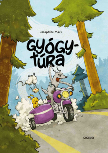 Gyógytúra akciós termékkép 1