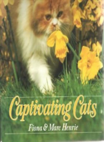 Captivating Cats antikvár