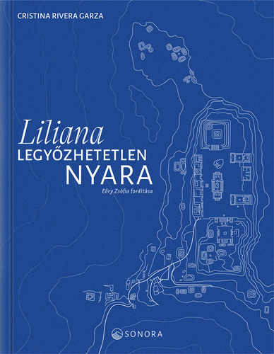 Cristina Rivera Garza: Liliana legyőzhetetlen nyara antikvár