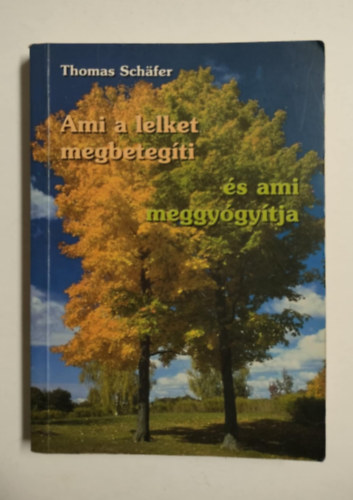 Thomas Schäfer: Ami a lelket megbetegíti, és ami meggyógyítja - Bert Hellinger pszichoterapeutikai munkássága antikvár