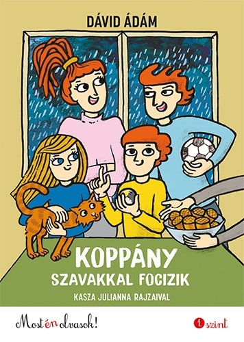 Dávid Ádám: Koppány szavakkal focizik antikvár