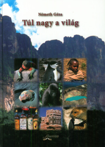 Németh Géza: Túl nagy a világ antikvár