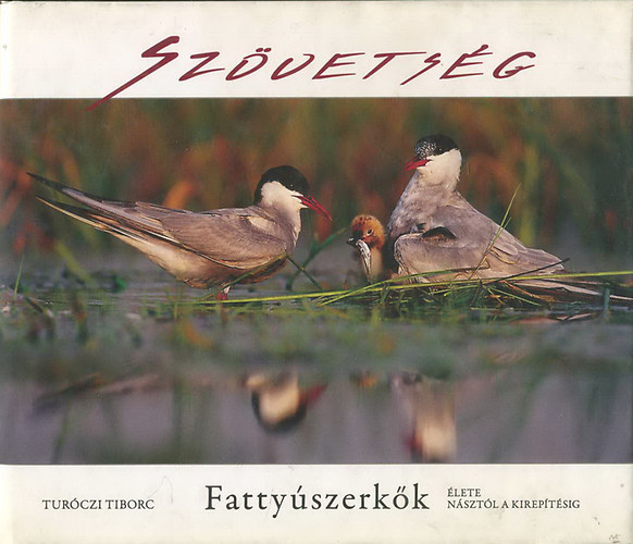 Turóczi Tiborc: Szövetség - Fattyúszerkők élete násztól a kirepítésig antikvár