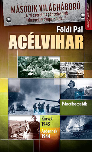 Földi Pál: Acélvihar könyv