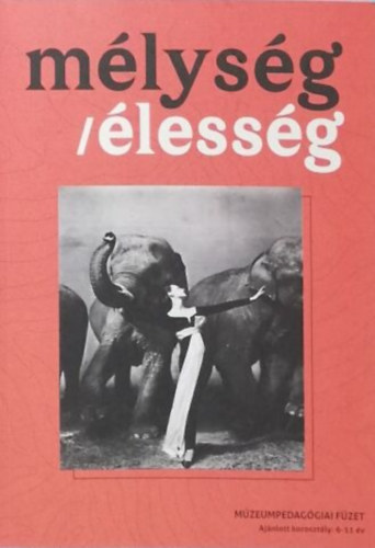 Kuzma Anita: Mélység / Élesség - múzeumpedagógiai füzet a 6-11 éves korosztály számára antikvár