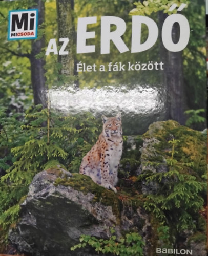 Anette Hackbarth: Az erdő antikvár