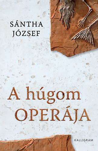 A húgom operája akciós termékkép 1