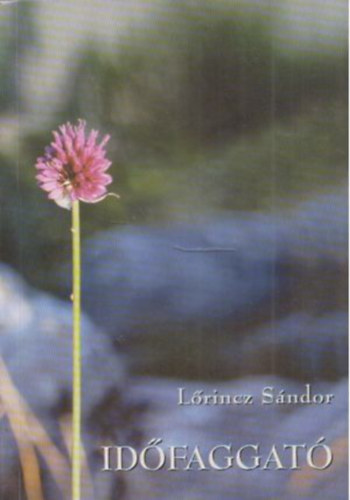 Lőrincz Sándor: Időfaggató / Rövid írások / - Dedikált antikvár