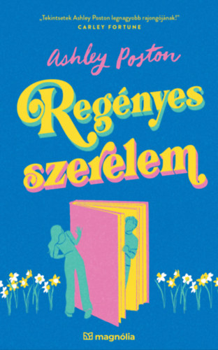 Ashley Poston: Regényes szerelem e-Könyv