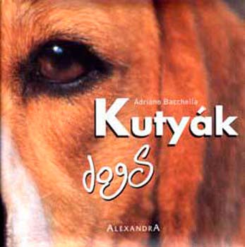 Adriano Bacchella: Kutyák - dogs antikvár
