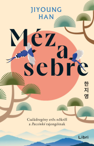 Jiyoung Han: Méz a sebre e-Könyv
