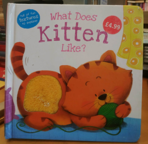 Daniel Mills, Gabriel Cortina (illus.): What Does Kitten Like? antikvár