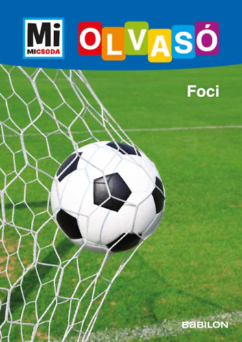 Kiss Tibor Noé: Foci könyv