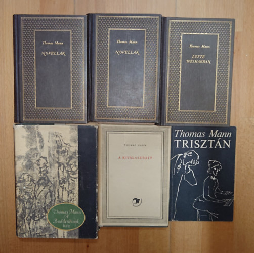Thomas Mann: Thomas Mann 6 kötete: Trisztán, A Buddenbrook ház, Lotte Weimarban, Novellák I-II. antikvár